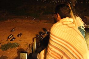 The Island Accommodation