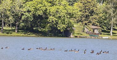 The Coniston Hotel and Country Estate