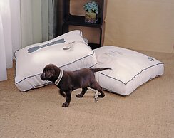 The Westin Guadalajara