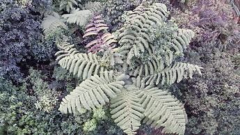 Ruapehu Mountain Motel & Lodge