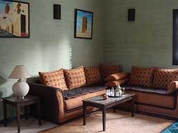 Les Oliviers de L Atlas