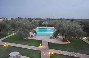 Les Oliviers de L Atlas