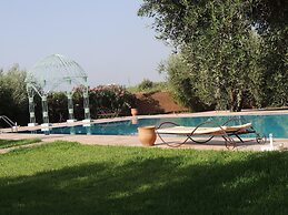 Les Oliviers de L Atlas