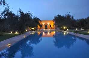 Les Oliviers de L Atlas