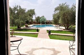 Les Oliviers de L Atlas