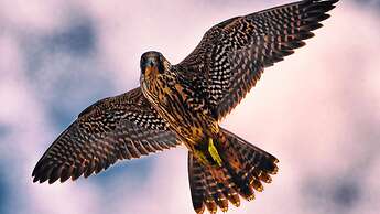 InterContinental Doha The City by IHG