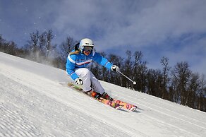 Eriksgårdens Fjällhotell