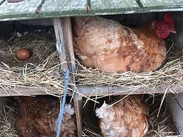 Bed and Breakfast Tistrup