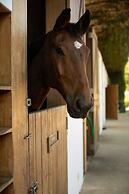 Hotel Fasano Boa Vista