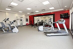 Hilton Garden Inn Fort Worth Alliance Airport