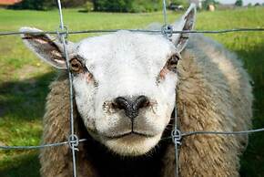 Grenshotel de Jonckheer