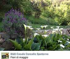 Casale Coreallo