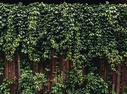 Tango Luxe Beach Villa Samui