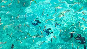 The Marlin at Taino Beach Resort & Clubs