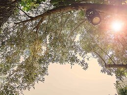 Vintage Hotel Alacati