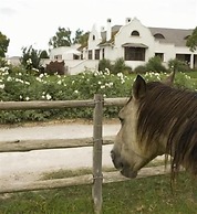 Excelsior Manor Guesthouse