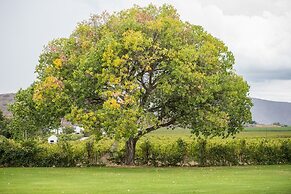 Excelsior Manor Guesthouse