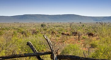 Madikwe Safari Lodge