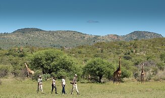 Madikwe Safari Lodge