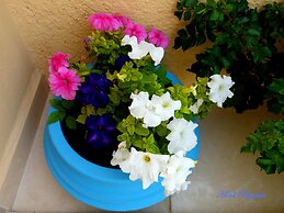 Apartments & Suites Papafotis