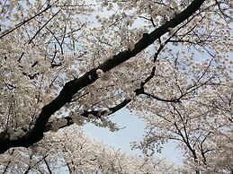 Bellus Rose Pension Hotel