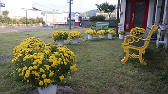 Bellus Rose Pension Hotel