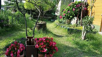 Bellus Rose Pension Hotel