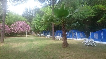Altin Camp & Park Hotel
