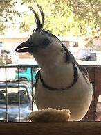 Hotel Flores - Adults Only