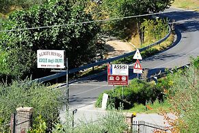 Agriturismo Colle degli Olivi