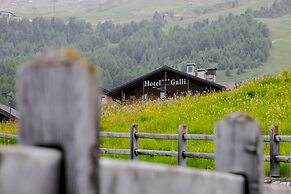 Hotel Galli