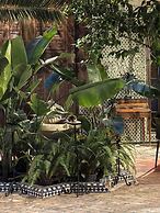 Riad Harmattan