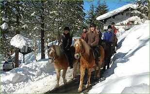 Hotel Garni Haus Alpine