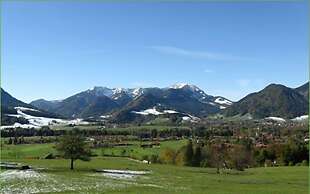 Hotel Garni Haus Alpine