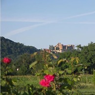Domaine de Borie Chambres d'Hôtes