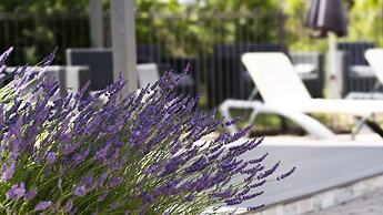 Hotel-Restaurant Les Oliviers
