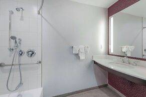 Hilton Garden Inn Raleigh-Cary