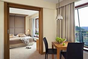 Hotel SPA Dr Irena Eris Krynica Zdrój 12+