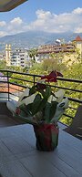 Palmen Apart Hotel