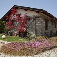 Flow Datca Surf & Beach Hotel