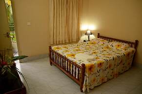 Ideal Ayurvedic Resort