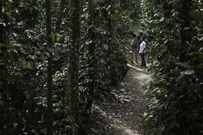 The Serai Chikmagalur