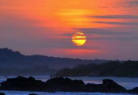 Cormorant Beach House