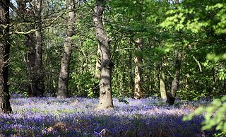 Lifehouse Spa & Hotel