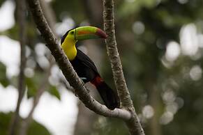 The Lodge at Pico Bonito
