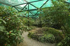 The Lodge at Pico Bonito