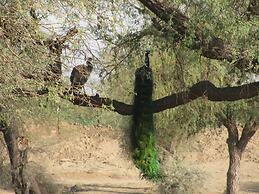 Chhotaram Prajapat Homestay