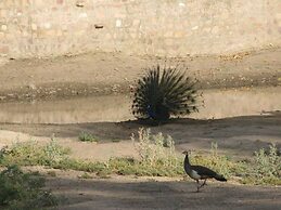 Chhotaram Prajapat Homestay