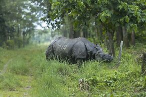 Hotel Parkside & Swimming Pool-Between Greenery and Azure ,Your Perfec