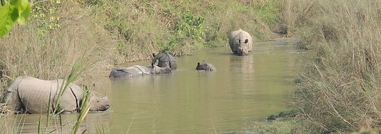 Hotel Parkside & Swimming Pool-Between Greenery and Azure ,Your Perfec